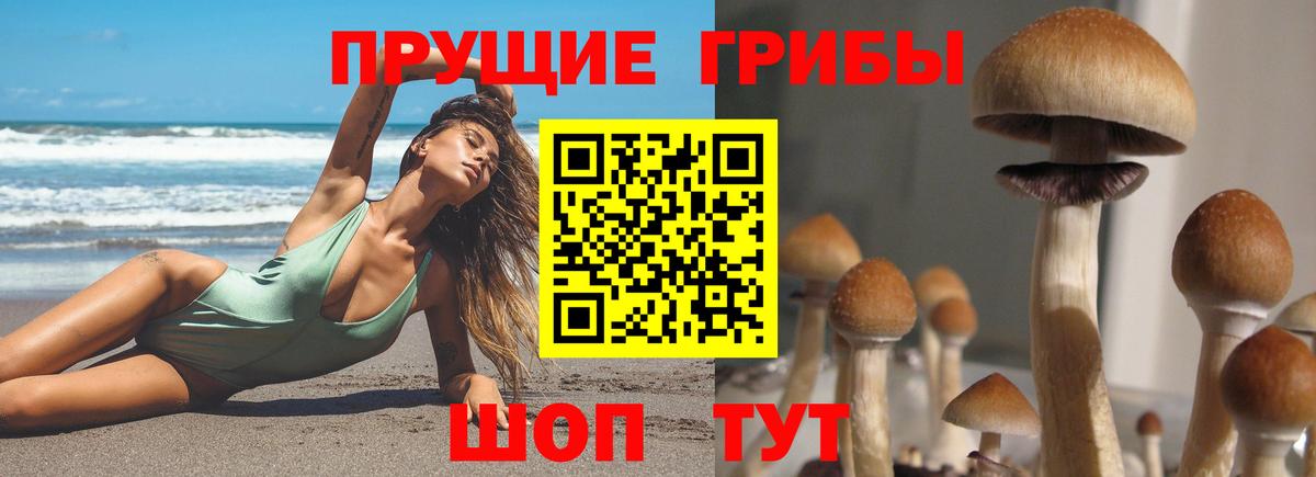 Псилоцибиновые грибы мухоморы Видное